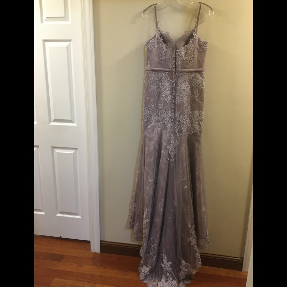 Hebeos Sheath Spaghetti Lace Tulle Prom Gown - Picture 11 of 16